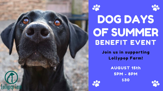 Benefit for Lollypop Farm