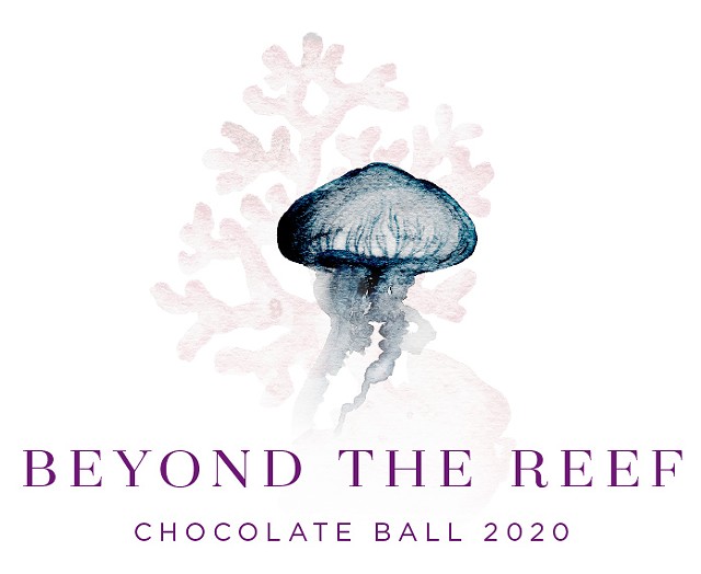 beyond-the-reef_without_logo_2.jpg