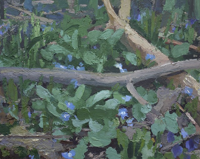 forest_floor_i_12.5x15_inches_oil_on_wood_2015_email.jpg