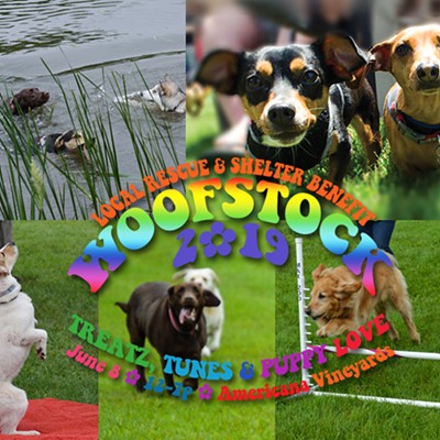 Woofstock 2019 is Saturday June 8, at Americana Vineyards Winery in Interlaken. All dogs, dog owner & dog lovers welcome!