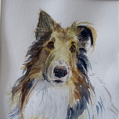 Brenda Cretney: Animal Watercolors