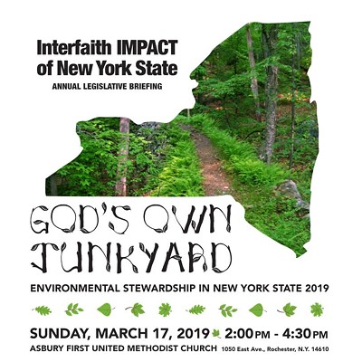 God’s Own Junkyard: Environmental Stewardship in NYS