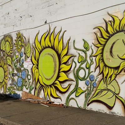Sunflowers by Rachel Dowe