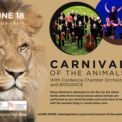 Cordancia and BIODANCE perform Carnival of the Animals