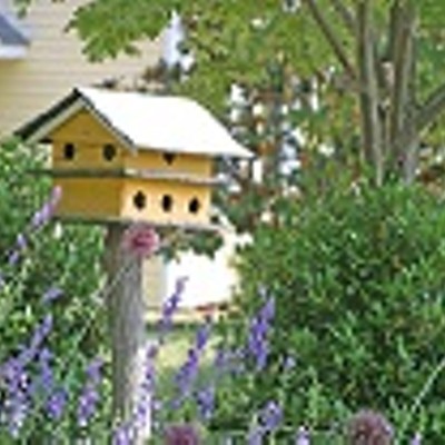 Creating a Bird Habitat in Your Backyard with Cornell Cooperative Extension