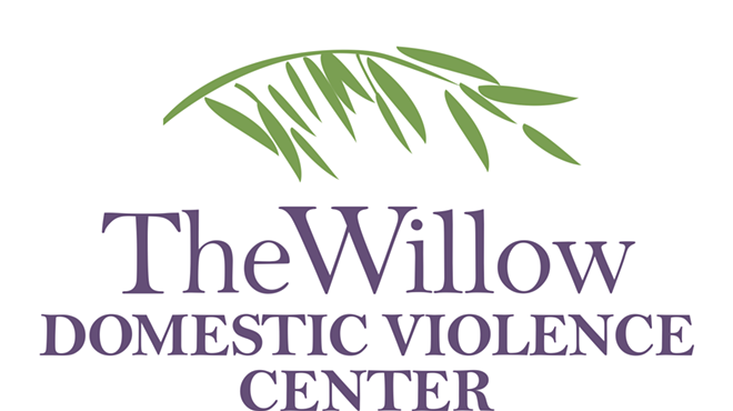 Domestic Violence Foundations with Willow Domestic Violence Center
