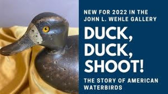 Duck, Duck, Shoot! The Story of American Waterbirds