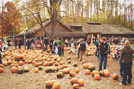 During the fall, Powers Farm Market offers fresh apple cider, candy apples, and the "world's largest teepees." - PHOTO BY MATT DETURCK