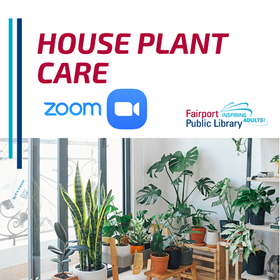 House Plant Care (On Zoom)