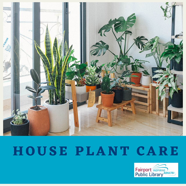 house_plant_care.png