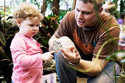 Interact with butterflies at the Museum of Play's Butterfly Garden. - FILE PHOTO