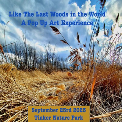 Like The Last Woods in the World, A Pop Up Art Experience