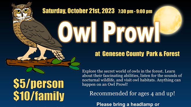 October Owl Prowl 2023