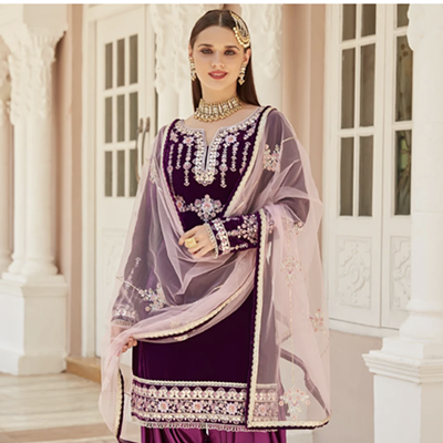 Punjabi Elegance: Clothing from Punjab, India
