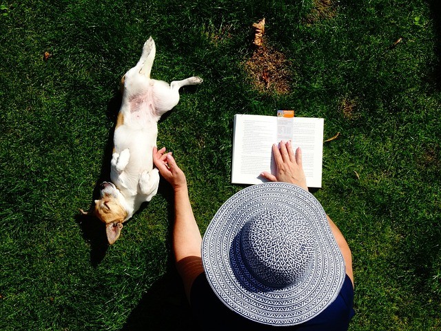 puppies_reading.jpg