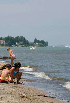 Report takes on beach water quality