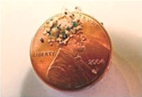 PROVIDED PHOTO - Researchers have found plastic microbeads in the Great Lakes.