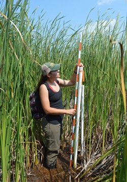 TNC seasonal staffer Erica Burgeson was part of a crew that recorded conditions at Buck Pond this past summer. - PHOTO BY KATIE LITTLE / COURTESY THE NATURE CONSERVANCY