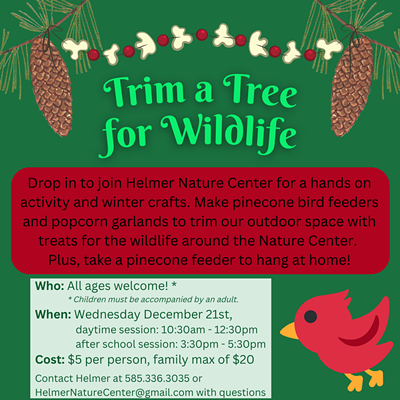 Trim a Tree for Wildlife at Helmer Nature Center