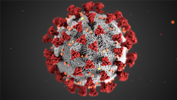 An illustration of the coronavirus, COVID-19. - PHOTO PROVIDED BY CENTERS FOR DISEASE CONTROL AND PREVENTION