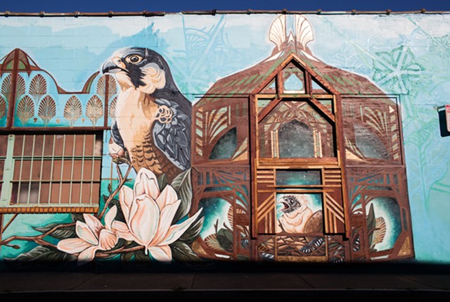 A detail of Rochester-based artist Sarah C. Rutherford's 2013 mural on the side of Natural Oasis on Monroe Avenue. - FILE PHOTO