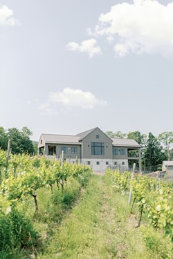 Living Roots opens its first Finger Lakes tasting room and production facility this weekend. - PHOTO BY JACALYN MEYVIS.