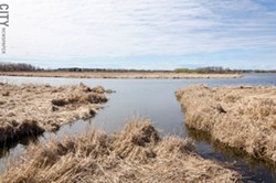 The US Army Corps of Engineers has developed a project to restore some of Braddock Bay's wetlands. - FILE PHOTO