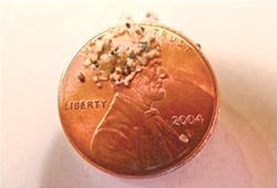 Plastic microbeads are so small that water treatment plants are unable to filter them out of municipal waste water. - FILE PHOTO