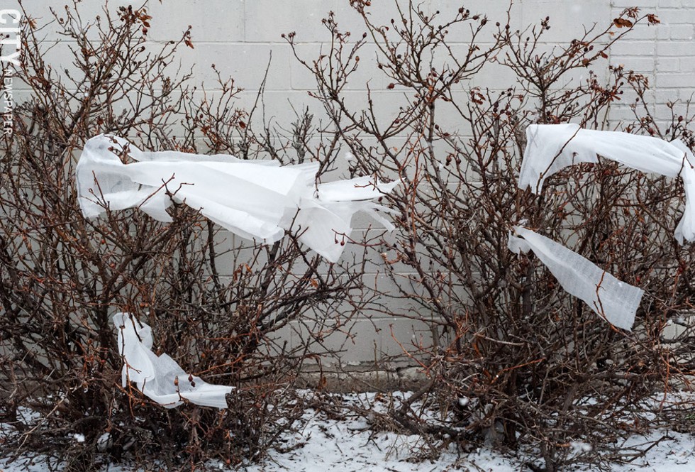 Foam packing materials often blow into trees and bushes. - PHOTO BY JEREMY MOULE