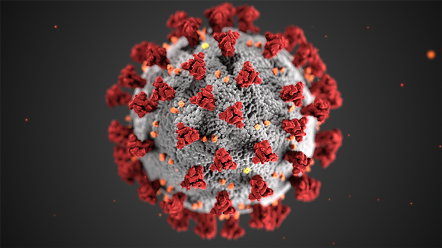An illustration of the coronavirus, COVID-19.
