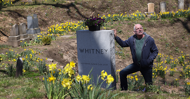 Bill Whitney has overseen the planting of some 15,000 daffodil bulbs in a corner of Mount Hope Cemetery, where he and his husband, Mykel Whitney, plan to be buried.