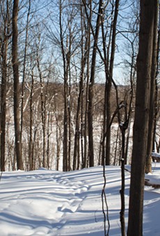 Ganargua Creek Meadow Preserve, part of the Genesee Land Trust's group of preserves that visitors can enjoy from dawn to dusk on the winter solstice.