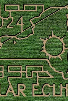 Stokoe Farms is participating in partial solar eclipse celebrations on Saturday, Oct. 14, with an eclipse-themed corn maze and other activities.