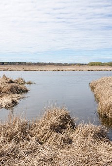 The US Army Corps of Engineers has developed a project to restore some of Braddock Bay's wetlands.