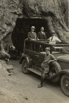 Audley D. Stewart's image of George Eastman and companions riding through Wawona Tree in Yosemite National Park in 1930.