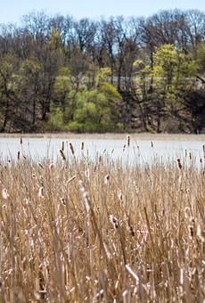 The Genesee River at Turning Point Park, where environmentalists hope to restore a wetland.