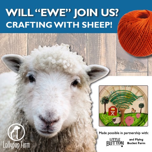 Crafting with Sheep!