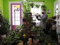 Rochester’s rare plant market is booming
