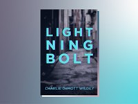 Life goes on in Charlie DeMott Wildey's apocalyptic novel 'Lightning Bolt'