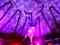 Frank reviews Cirque Du Fringe: 'Eclectic Attraction' and Pinch and Squeal