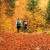 Let nature nurture you with these fall recreation activities