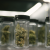 Irondequoit to allow marijuana dispensaries, lounges