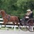 SPECIAL EVENT | Walnut Hill Carriage Driving Competition