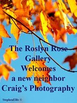 Roslyn Rose Gallery - Uploaded by roslynrose