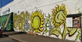 Sunflowers by Rachel Dowe - Uploaded by RochesterGreenovation