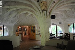 You can find several architectural curiosities in Rochester, including the Mushroom House. - FILE PHOTO